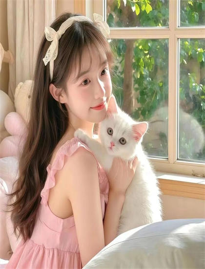 《神龙车队》色彩运用解析：色调选择与情绪表达分析